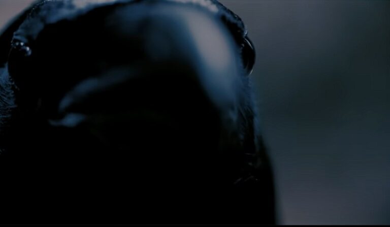 Black Metal