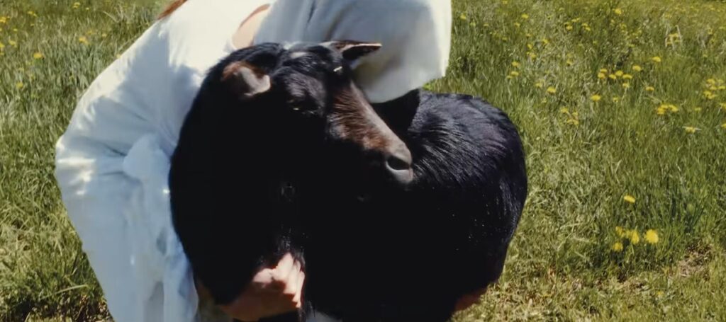 NETHERWILDS – New video “Return The Goat” and the beginning of the epic saga | Metal Territory