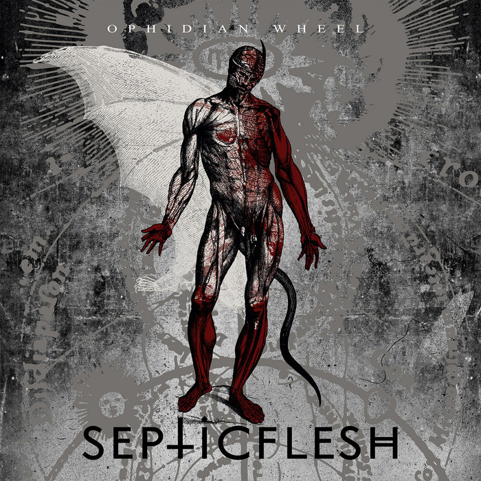 Εξώφυλλο του δίσκου Ophidian Wheel των Septicflesh