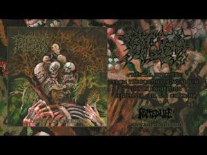 Filth – Death Exhibition | Metal Territory