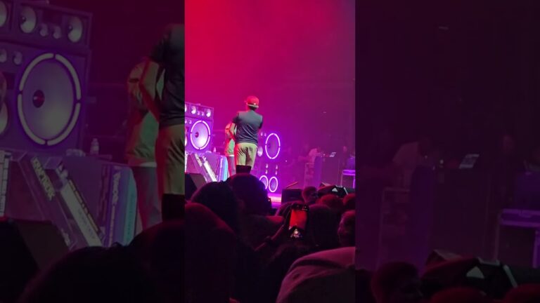 Ο 13χρονος Lathan στη σκηνή με τους Limp Bizkit στο Nashville
